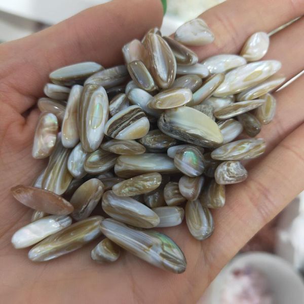

decorative objects & figurines natural melon seeds tiny shells seashells aquarium gravel for fish tank healing stones