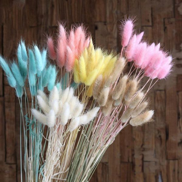 

20pcs lot artificial dyeing lagurus dried flowers real ovatus bouquet for home wedding decoration fake decorative & wreaths