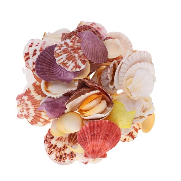 

novelty items 1 bag/about 250g natural shell conch ornaments delicate mixed sea style diy po frame materials showcase fish tank aquarium la