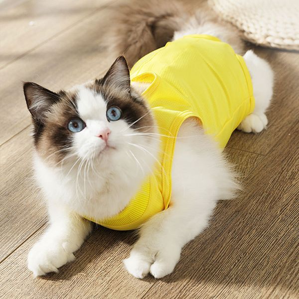 

cat clothing female cat pet sterilization anti lick injury posrative summer elastic