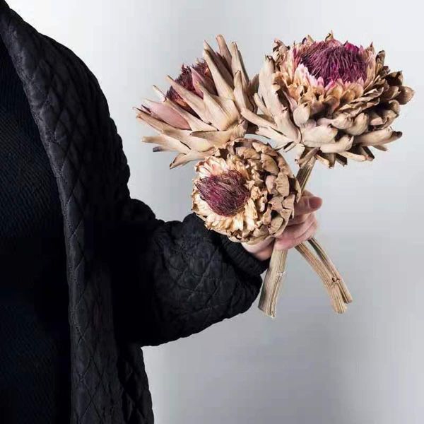 

decorative flowers & wreaths natural dried luxury africa protea cynaroides table centerpieces desk decoration farmhouse home indie room deco
