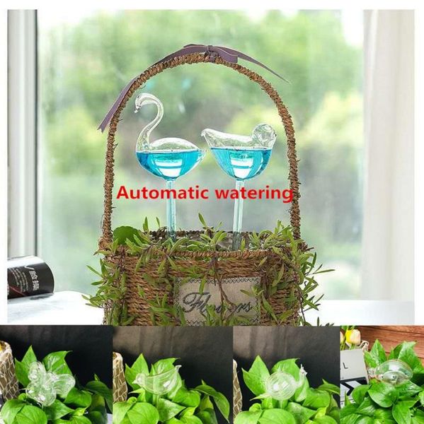 

watering equipments 3pcs the automatic plant self water feeder plastic pvc ball flowers indoor outdoor