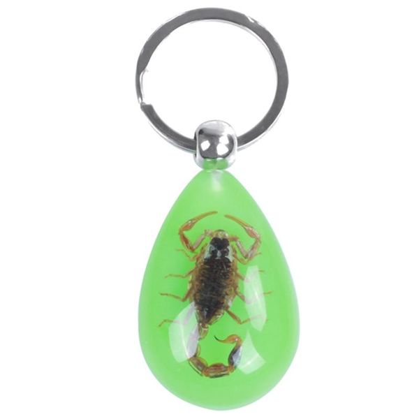 

keychains raindrop shaped scorpion amber pendant split flat ring keychain adron, Silver