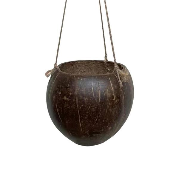 

other garden supplies hangings plant pot natural coconut shell eco-friendly flower handmade succulent indoor outdoor