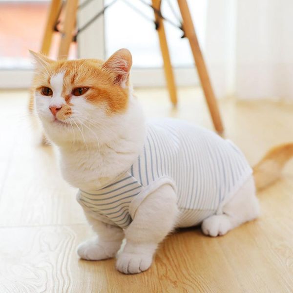 

cat clothes four seasons thin weaning anti-licking anti-bite breathable nursing suit posrative costumes