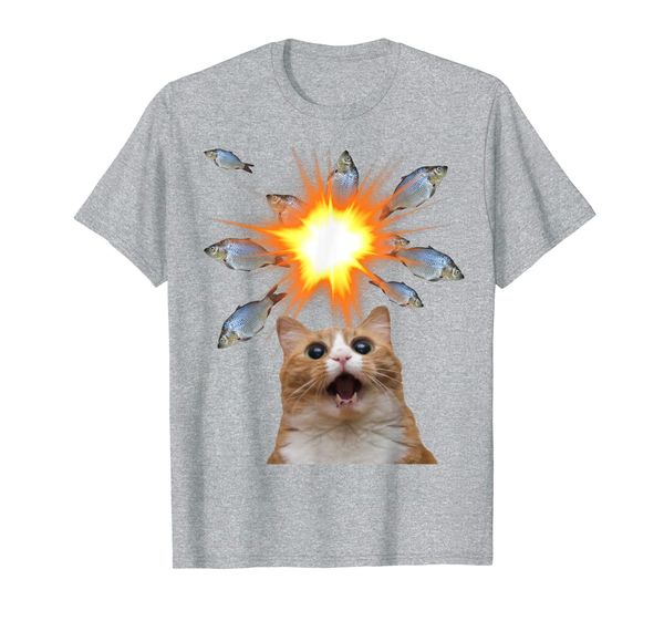 

The Fish Bang Shirt Fish Lover Cat Meme Big, Mainly pictures
