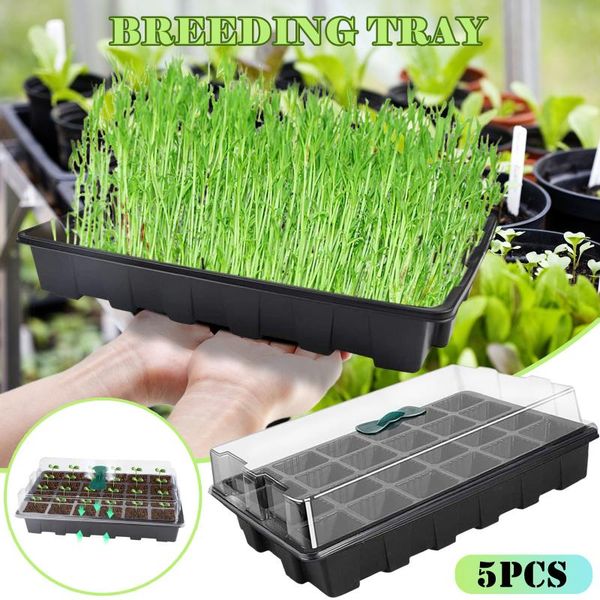 

durable plant growing trays thickness seed starter kit flowers seedlings plants dome and base nursery #4 planters & pots