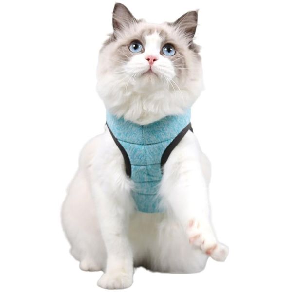 

cat collars & leads traction rope ultra-light high elasticity moisture absorption and wear-resistant fast drying