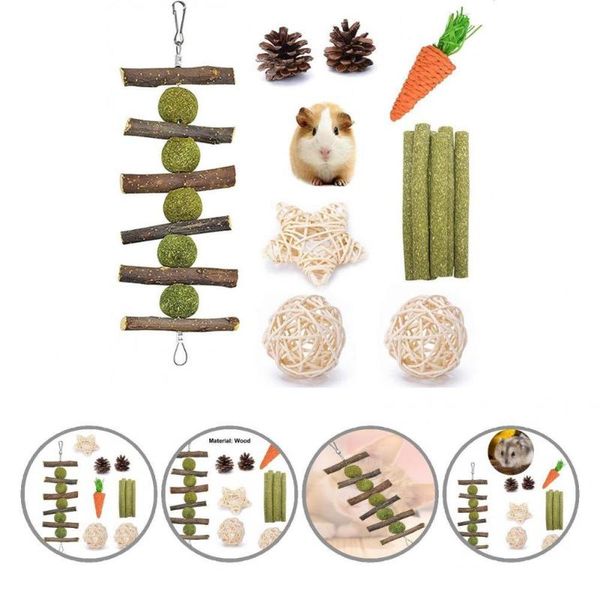 Forniture per piccoli animali Intrattenimento 8 pezzi/set Cura dei denti Criceto Giocattoli da masticare Misto Carota Pigne Palline Pet