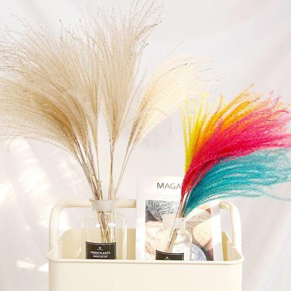 

decorative flowers & wreaths 10pcs 55cm natural dried pampas grass artificial flower party wedding decor accessories reed plants branch home