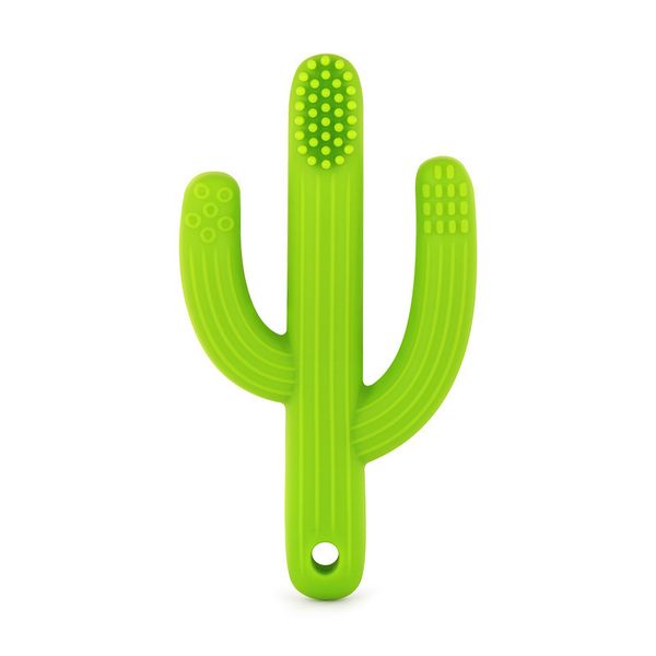 

cactus gum silicone baby toothbrush green soft training molar toy