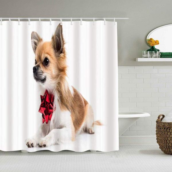 

shower curtain cute chihuahua animals wildlife beautiful lying celebration waterproof bath liners hooks included -bathroom
