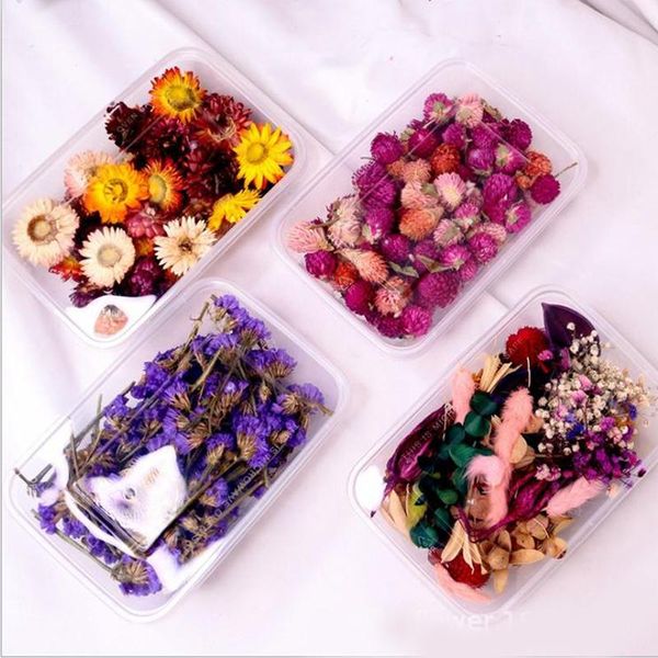 

box mix beautiful real dried flowers natural floral for art craft scrapbooking resin jewelry making epoxy mold filling decorative & wreaths