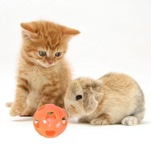 

cat toys multicolored pet baby squeakers rattle ball noise maker insert dog toy 10 pcs/lot 4cm small pets interactive