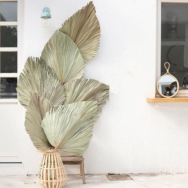 

decorative flowers & wreaths 1pc natural palm fan leaf dried flower window reception party art wall hanging decoration wedding arch arrangem