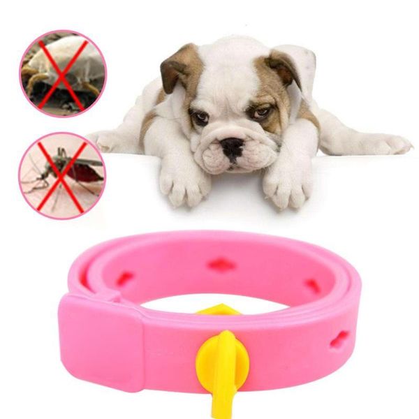 

pets anti-flea fleas control reject dog cat collars neck solid ring for small animal puppy summer outdoor pest & leashes