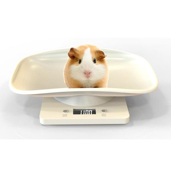 

digital pet scale lcd electronic scales for measure high precision capacity up to 10 kg /22 lb bathroom & kitchen