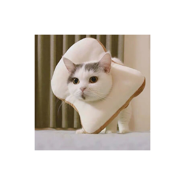 

elizabeth cat collars avocado bagels pet headgear anti-lick & leads