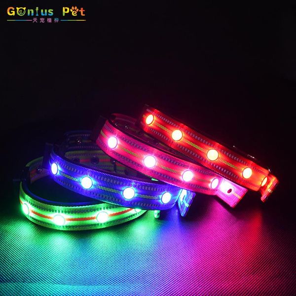 

dog collars & leashes pet cat waterproof rechargeable collar leads magnetic charging led night flashing glow for accessories
