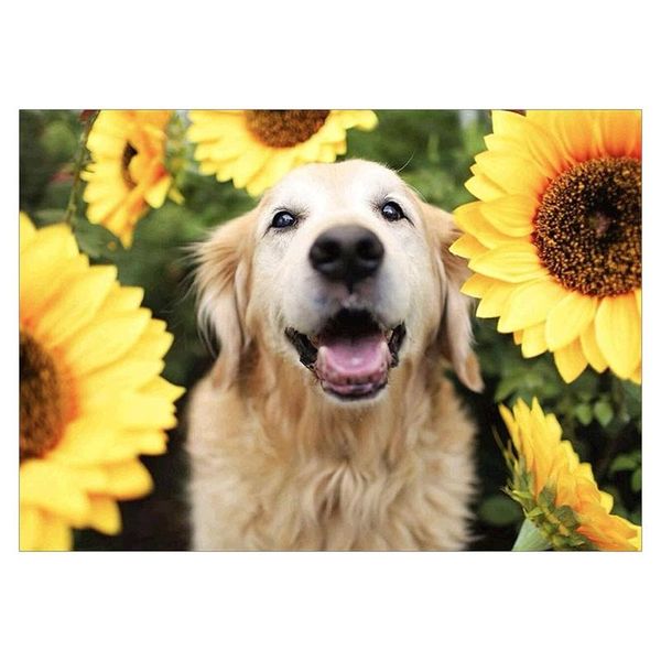 

diamond painting dog sunflower golden retriever kits full coverage round rhinestone diy art