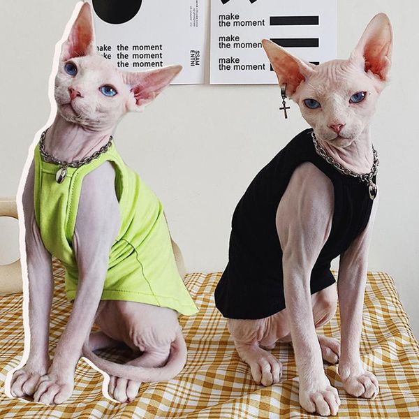 

cat costumes sphinx clothes 100% cotton summer cooling vest t shirt breathable for sphynx kitten fashion tee suit jacket