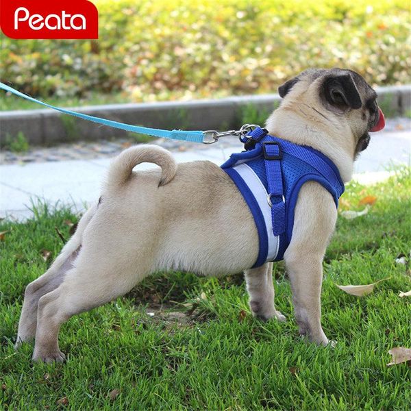 

dog collars & leashes small dogs harnesses no pull with leash rope set medium pet puppy reflective vest chest for back y