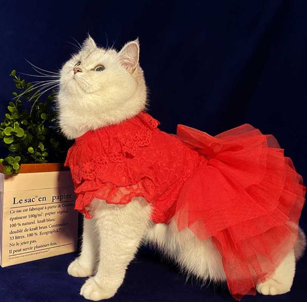 

cat costumes clothes small cats vest casual warm kitten shirt coat