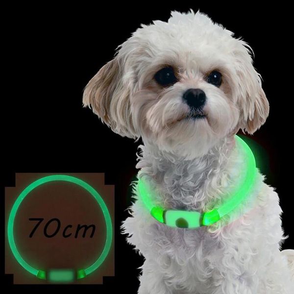 

charging pet dog collar rechargeable led tube flashing night collars luminous safety puppy cat with battery & leashes