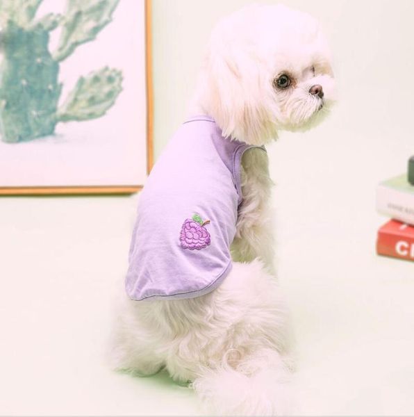 

cat clothes small cats vest casual warm kitten shirt costumes