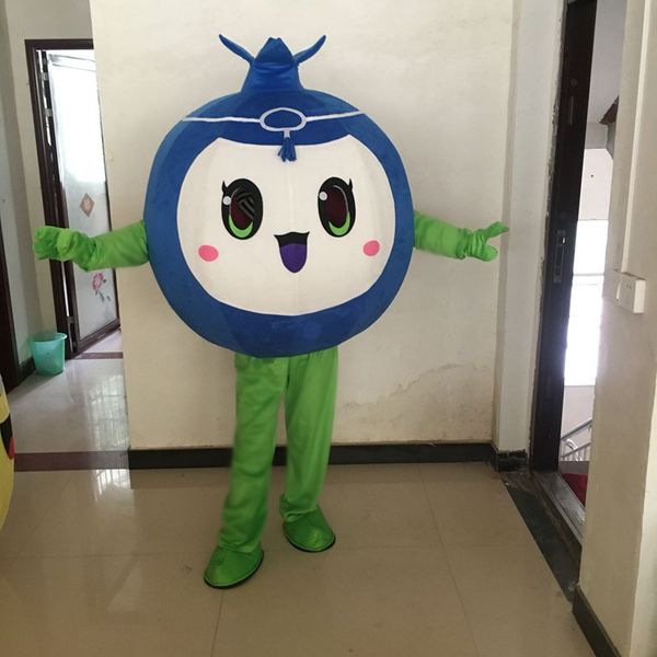 

mascot costumes blueberry mascot fruit costume suits adults size fancy party dress cartoon appearl halloween birthday, Red;yellow