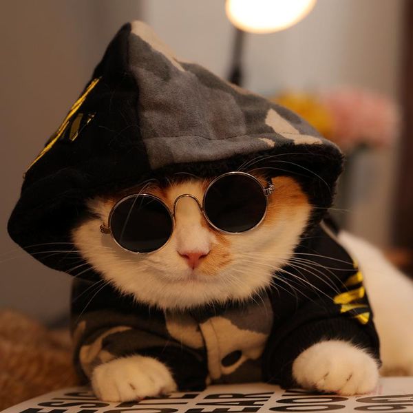 

luxury wedding cat animals clothes fashion autumn cats dog christmas sweater winter ropa para gatos invierno hoodie oo50js costumes