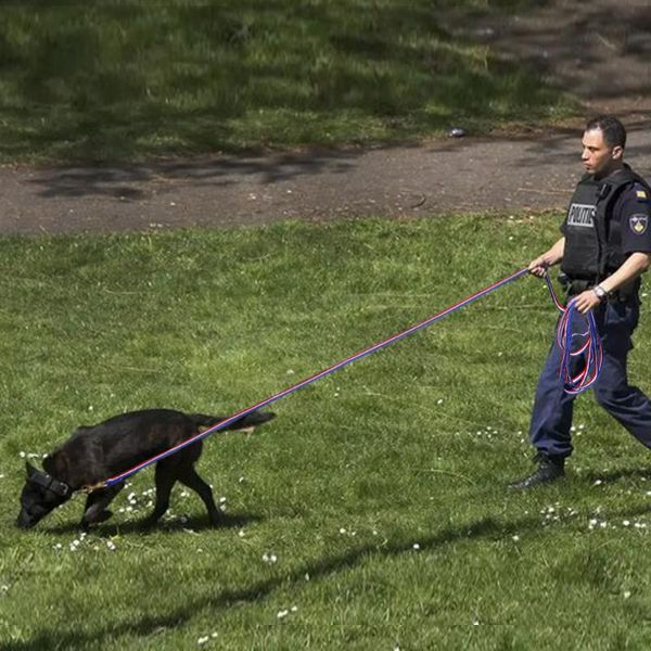 

dog leash running tracking non-slip long leads training walking 3m 5m 10m 20m for medium large lead collars & leashes