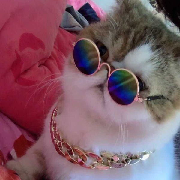 

cat costumes hicodo pet accessories dog sunglasses glasses lovely vintage round eye-wear supplies reflection products decoration lenses