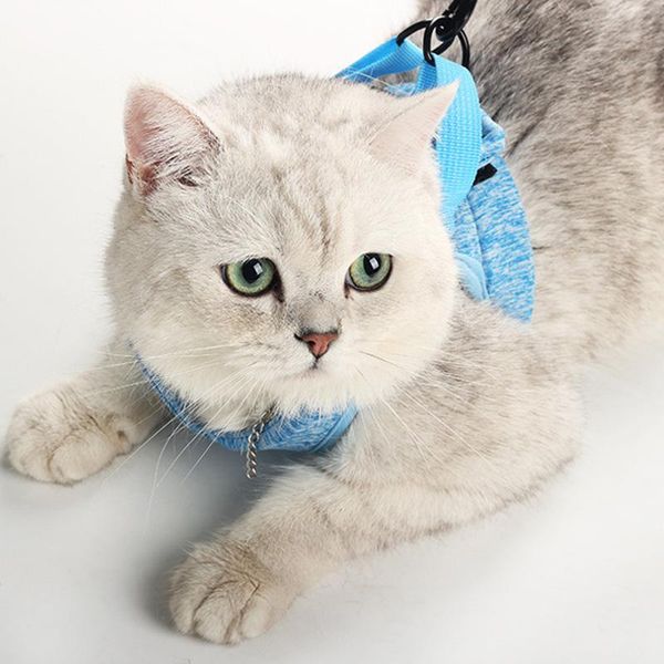 

cat harness and leash breathable lightweight pet small dog puppy und sale collars & leads