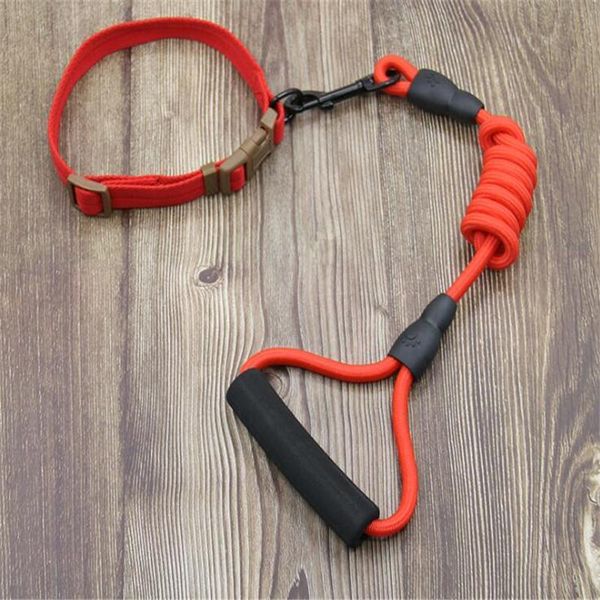 

dog collars+leash puppy cat tag pet small medium large dogs 01 collars & leashes