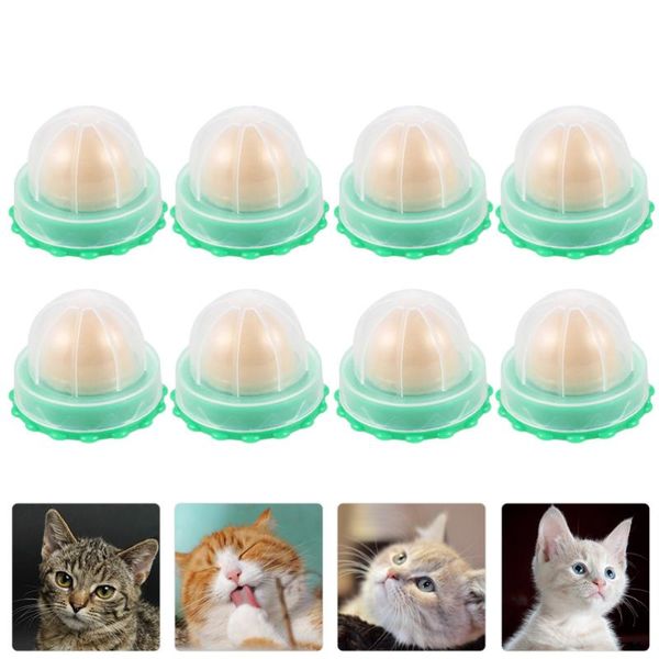 

cat toys 8pcs catnip vitamin pudding safe kitten snack (random flavor)