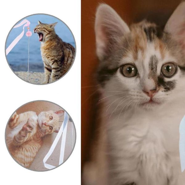 

cat toys pet supplies lightweight funny stick toy teaser with bells kitten
