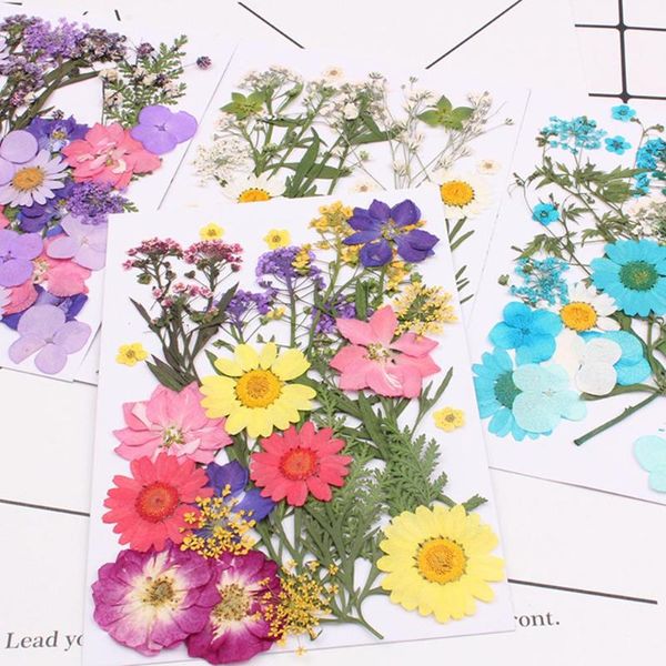 

ly pressed flower mixed organic dried flowers diy art floral decors collection gift te889 decorative & wreaths