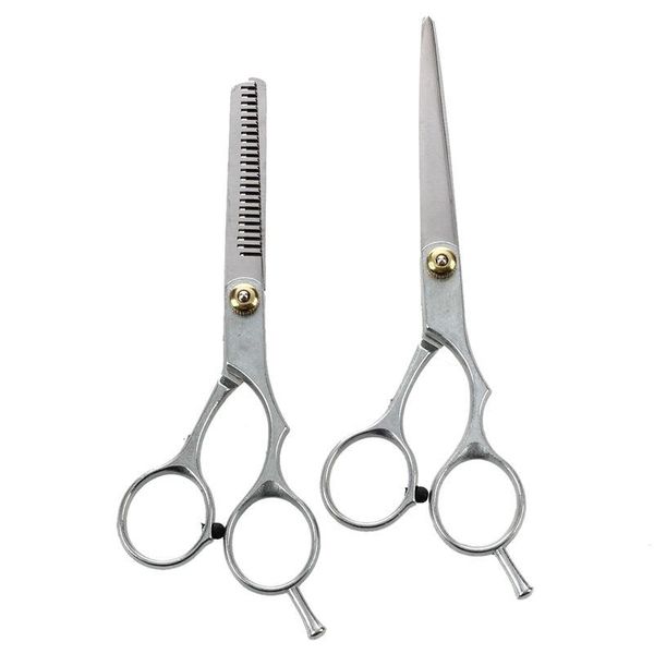 

hair scissors 2 x steel barber cutting & thinning shears hairdressing