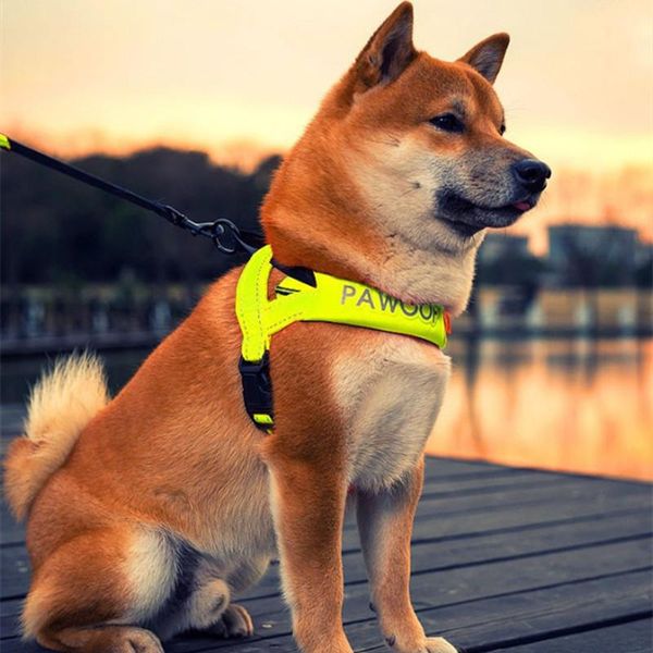 

dog collars & leashes 2021 pet supplies breast strap fluorescent back reflective