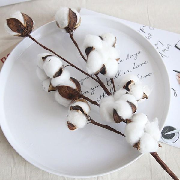 

5pcs cotton stems with 10 heads fake flowers artificial plant wedding decoration home farmhouse decorative & wreaths