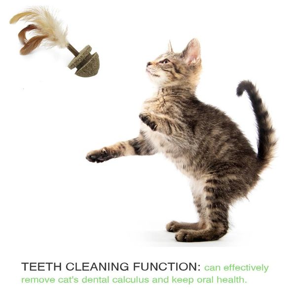 

cat toys toy tumbler ball catnip soft feather kitten pet natural treat home chasing healthy edible for