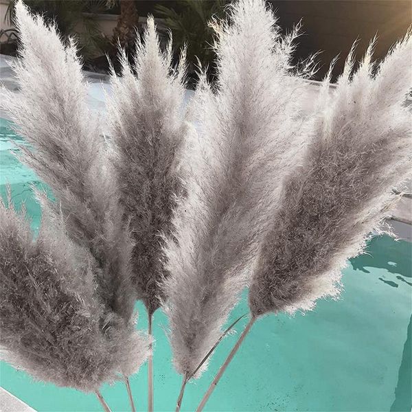 

decorative flowers & wreaths 6/15pcs bulrush natural dried pampas grass phragmites artificial plants wedding flower bunch for home decor fak