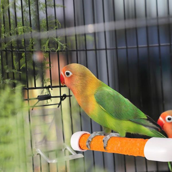 

other bird supplies 12cm parrot grinding training stand rack wood perch for pet