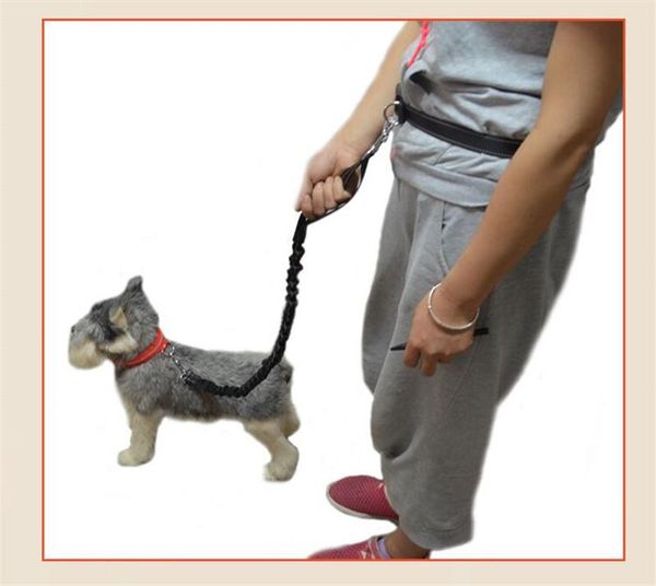 

dog collars & leashes e35 pet running traction rope for outside morning run