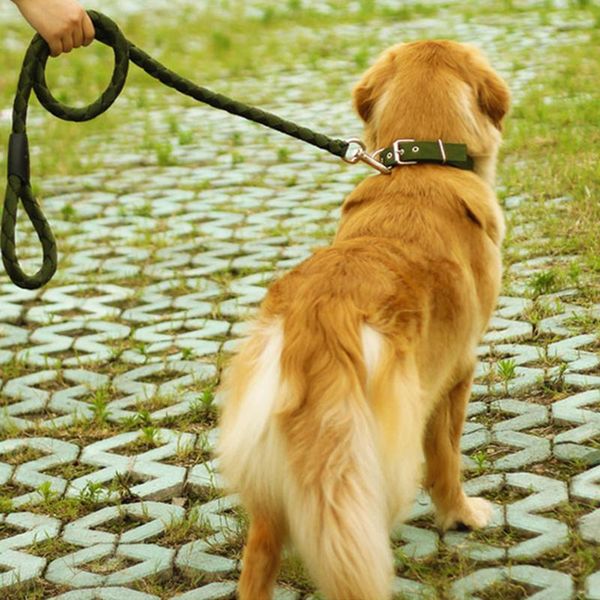 

dog collars & leashes 3pcs harness adjustable pet breathable no pull leash collar vest outdoor extra big large medium small supplies