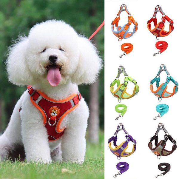 

dog collars & leashes vest style leash teddy small bichon hiromi chest strap puppy puppies reflective safe chain at night