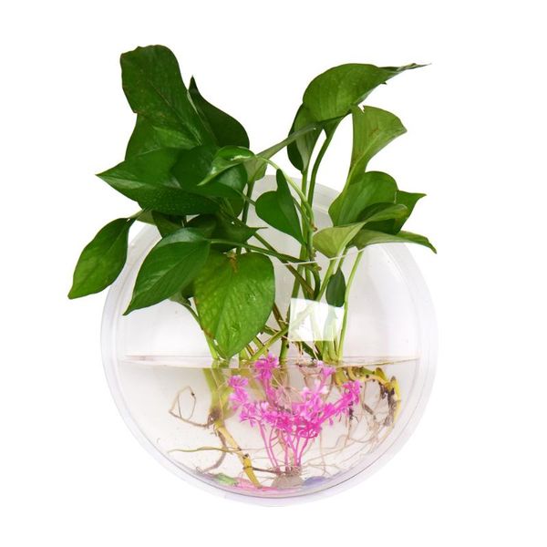

aquariums acrylic fish bowl wall hanging aquarium tank aquatic pet supplies products mount for betta