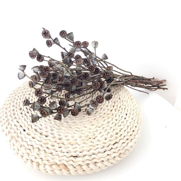 

decorative flowers & wreaths dried natural real eucalyptus globulus fruit flower bunch home decor 6 stems