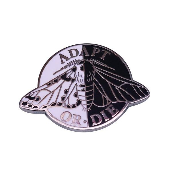 

pins, brooches black and white moth enamel pin science entomology brooch badge, Gray